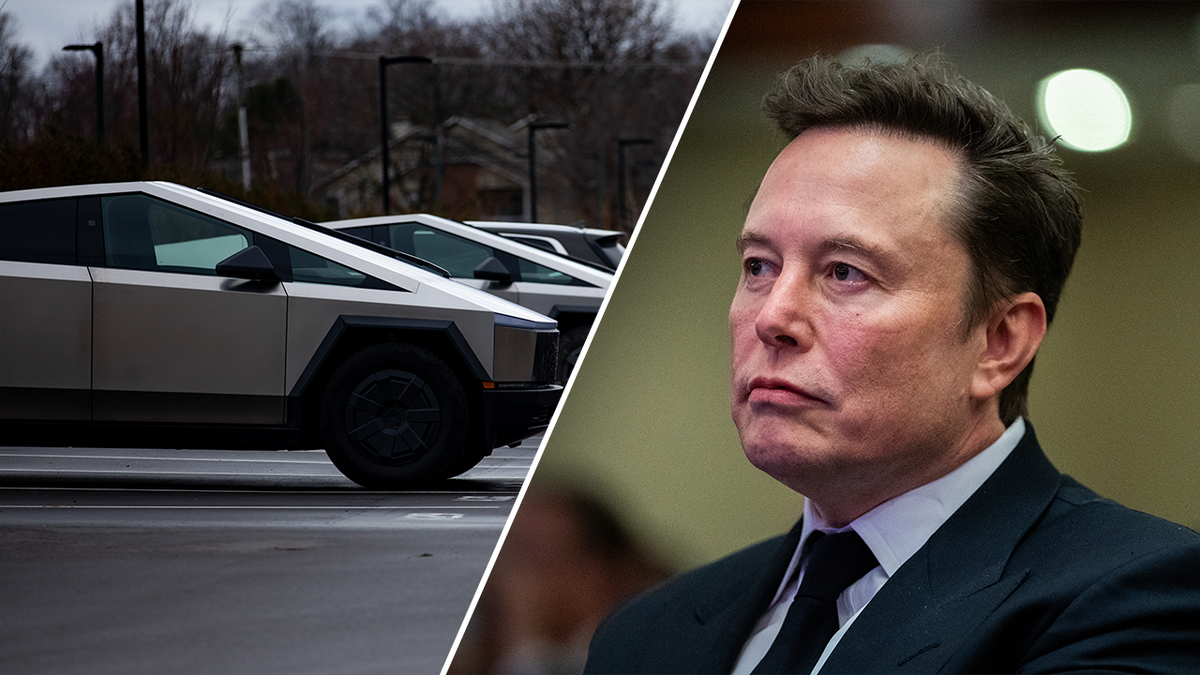 Tesla are becoming targets for attacks in protest of Tesla CEO Elon Musk's political involvement.