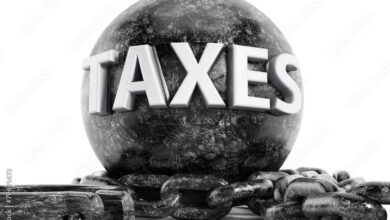 A Caste of Characters: Net Taxpayers versus Net Tax Consumers