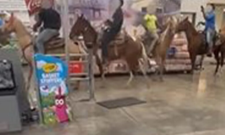 3 men, 1 teen facing multiple charges in Louisiana for riding horses in Walmart 3 men, 1 teen facing multiple charges in Louisiana for riding horses in Walmart