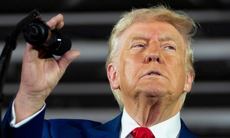 Trump to name Haitian gangs foreign terrorist organizations: report Trump to name Haitian gangs foreign terrorist organizations: report