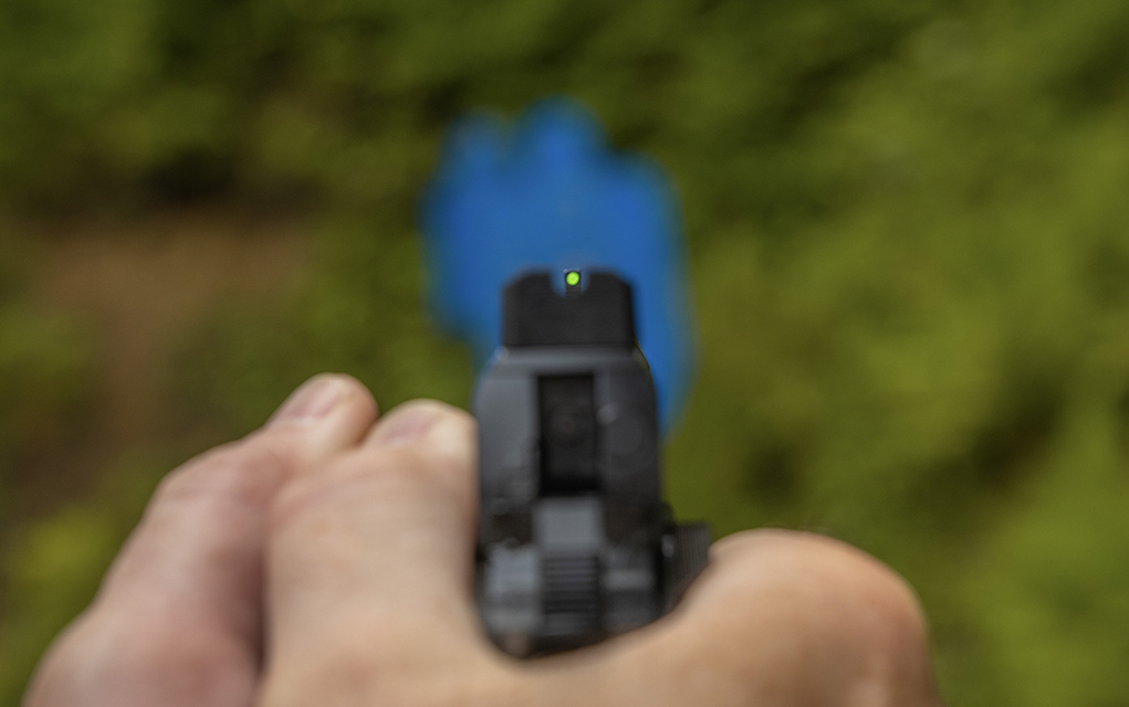 sight picture 2