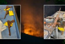 Los Angeles police hope to reunite firearm owners with guns after devastating Palisades Fire
