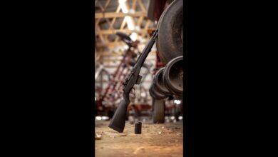 Do you have one in your collection? #M1A