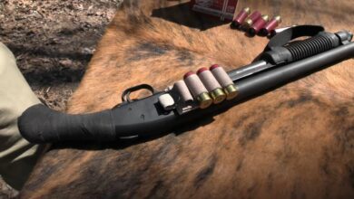 Is the Shockwave Still Useless?