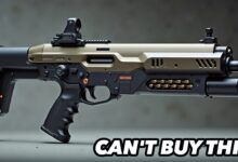 17 Guns The Government Doesn't Want You To Have