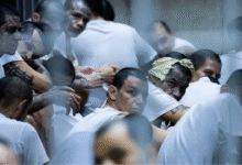 Emerging Venezuelan gang 'more violent' than Tren de Aragua targets rural America, expert warns