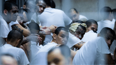Emerging Venezuelan gang 'more violent' than Tren de Aragua targets rural America, expert warns