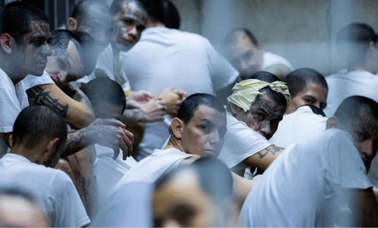 Emerging Venezuelan gang 'more violent' than Tren de Aragua targets rural America, expert warns Emerging Venezuelan gang 'more violent' than Tren de Aragua targets rural America, expert warns