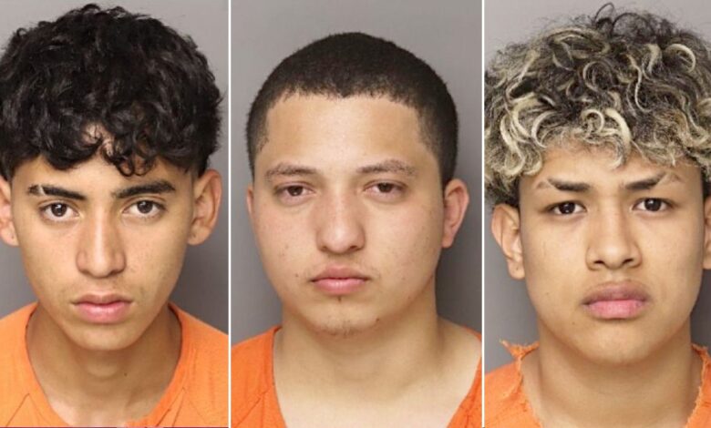 Six illegal migrants charged in South Carolina mother's murder defy 'decency' in 'civilized society': sheriff Six illegal migrants charged in South Carolina mother's murder defy 'decency' in 'civilized society': sheriff