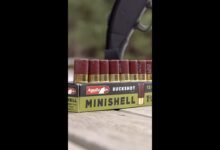 Would you rather have 9 mini shells than 4 standard shells?