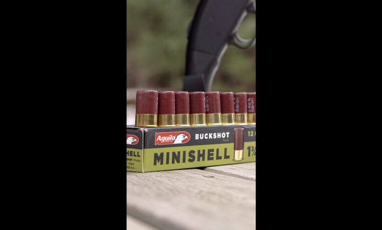Would you rather have 9 mini shells than 4 standard shells?