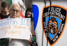 Trump DHS issues warning after anti-ICE protesters attempt to disrupt arrest