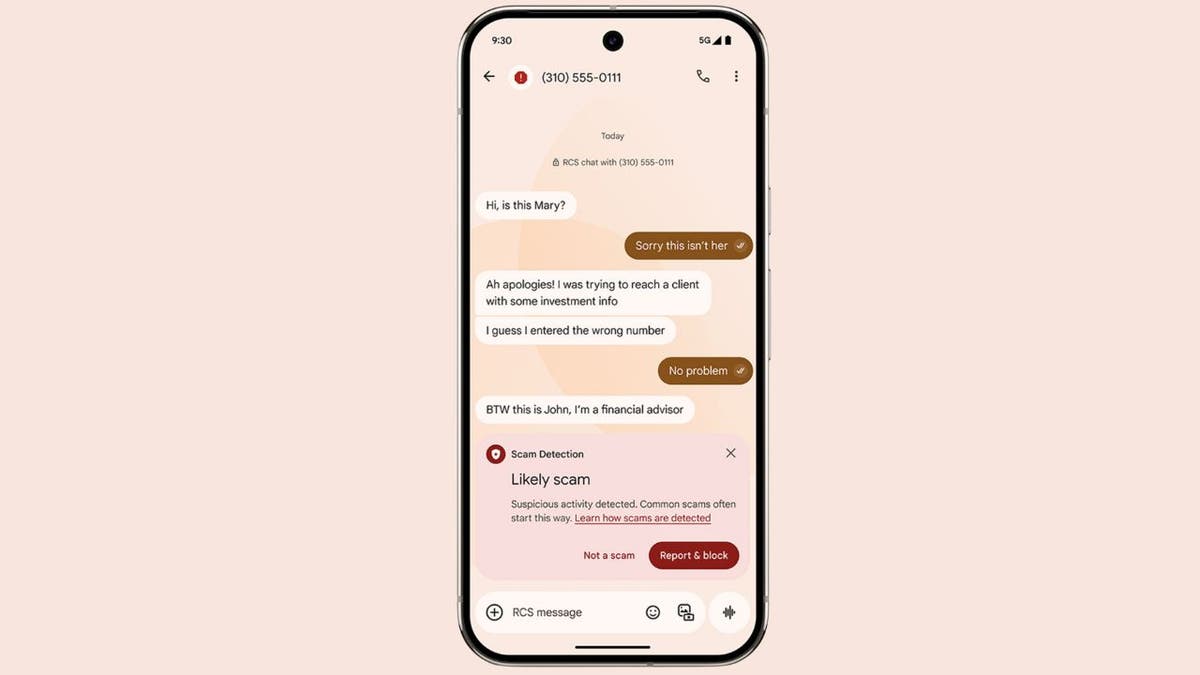 scam detection 1