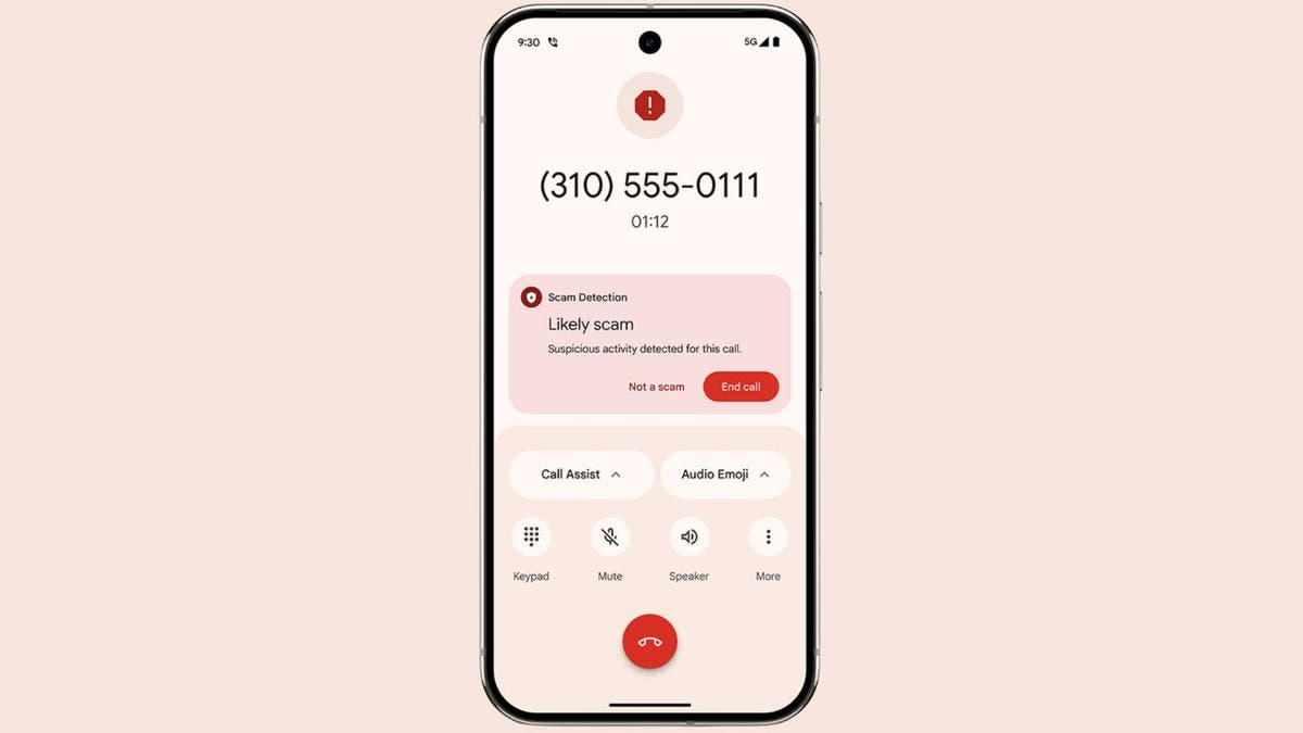 scam detection 2