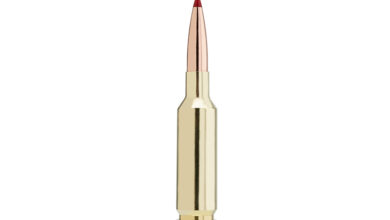 Ammo Brief: 6mm GT – Gun Digest