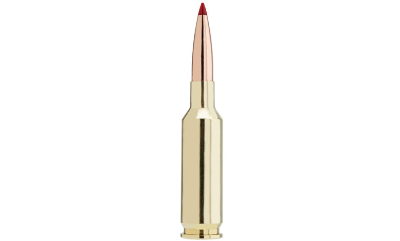 Ammo Brief: 6mm GT – Gun Digest Ammo Brief: 6mm GT – Gun Digest