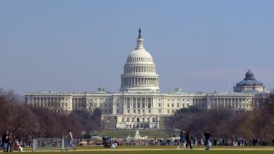 House Passes Bill To Completely Remove Suppressors From NFA
