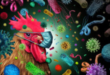 Chicken Exporters From Brazil Deal With Cargo Rejections As Bird Flu Spreads