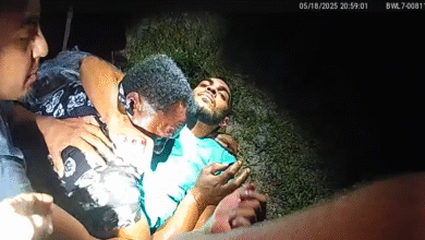 VIDEO: Armed Witnesses Open Fire After Driver Intentionally Hits Three In Florida Driveway