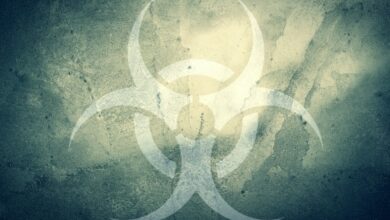 Our Ultra-Toxic Society Is Killing The Birds And The Bees