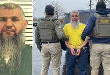ICE arrests ‘criminal alien’ released from prison with sex crimes conviction: 'He won’t be welcome back'