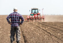 Farmers Ask For Help As Massive Financial Losses Pile Up And Demand For U.S. Agricultural Products Disappears