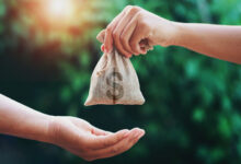 Fraud in Federal Aid Programs: USAID Official Charged in COVID Relief Scam