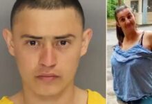 Illegal immigrant released by Biden admin pleads not guilty to murder of Georgia grandmother