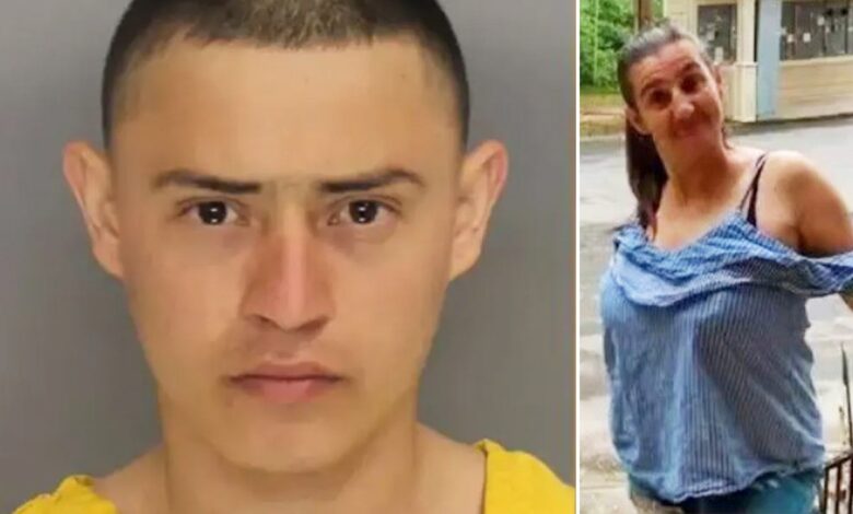 Illegal immigrant released by Biden admin pleads not guilty to murder of Georgia grandmother Illegal immigrant released by Biden admin pleads not guilty to murder of Georgia grandmother