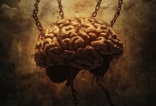 WAR ON COGNITION: The Coordinated Assault on Your Brain and How to Defend Yourself Against Every Attack