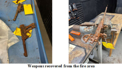 Lost Your Gun in the Palisades Fire? LAPD Opens Recovery Process for 500 Firearms Found