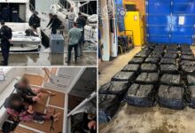 Australian authorities intercept over a ton of cocaine worth 0M