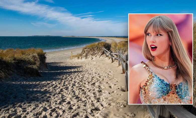 Rhode Island police chief rejects serial killer theory after human remains found near Taylor Swift's mansion Rhode Island police chief rejects serial killer theory after human remains found near Taylor Swift's mansion