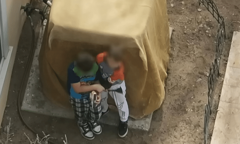 Dramatic Drone Footage Captures Armed 7 And 9-Year-Old Boys During Standoff In Albuquerque Dramatic Drone Footage Captures Armed 7 And 9-Year-Old Boys During Standoff In Albuquerque