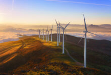 Wind Turbines Are A Threat To The Environment, Wildlife And Human Health