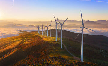 Wind Turbines Are A Threat To The Environment, Wildlife And Human Health