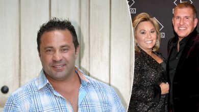 Trump's pardon of Chrisleys praised by Joe Giudice as 'the only way' after 'harsh' prison sentences
