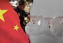After ‘agroterror’ fungus is seized in Detroit, lawmaker says Michigan has best plan to blunt CCP influence