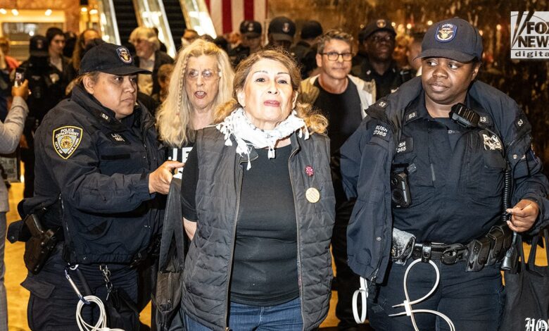 Police swiftly remove anti-ICE protesters who invaded Trump Tower as nationwide demonstrations intensify Police swiftly remove anti-ICE protesters who invaded Trump Tower as nationwide demonstrations intensify