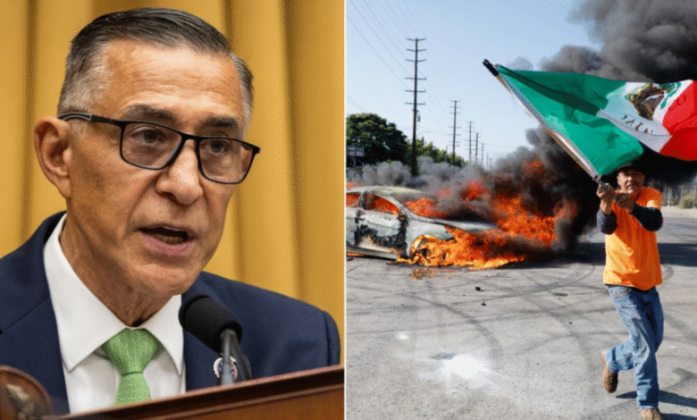 GOP lawmaker demands accountability for LAPD's delayed response time helping assaulted ICE officers GOP lawmaker demands accountability for LAPD's delayed response time helping assaulted ICE officers