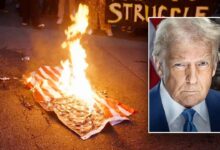 Trump vows consequences for 'animals' burning American flags in LA, slams those waving other countries' flags