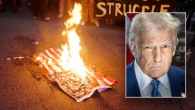 Trump vows consequences for 'animals' burning American flags in LA, slams those waving other countries' flags