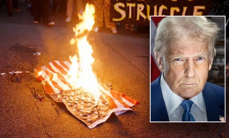 Trump vows consequences for 'animals' burning American flags in LA, slams those waving other countries' flags Trump vows consequences for 'animals' burning American flags in LA, slams those waving other countries' flags