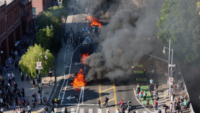 Democrat accuses Trump of unleashing ‘campaign of terror’ on illegals as LA riots rage