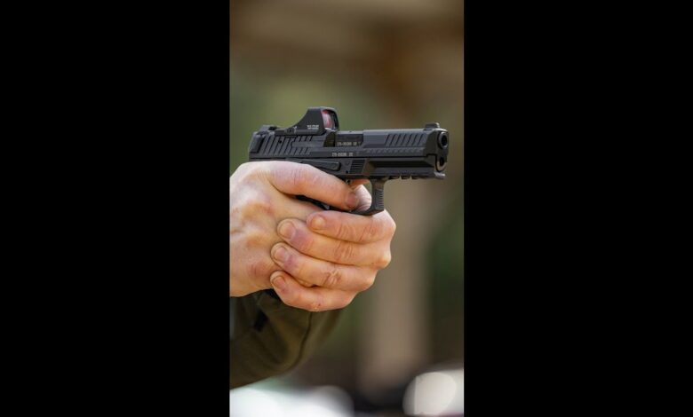 Would you want one for concealed carry? (HK VP9 A1 K)