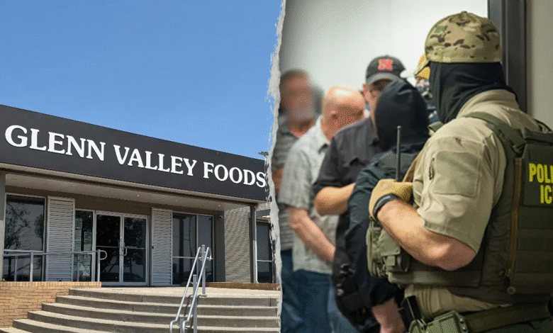 Massive identity theft scheme led by illegal immigrants uncovered after raid at meatpacking plant