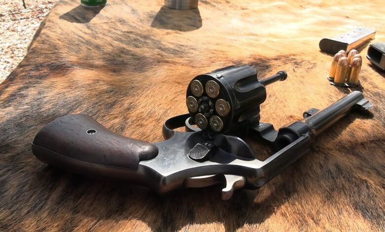 Would This be YOUR Choice for  a Go-To-War Revolver?