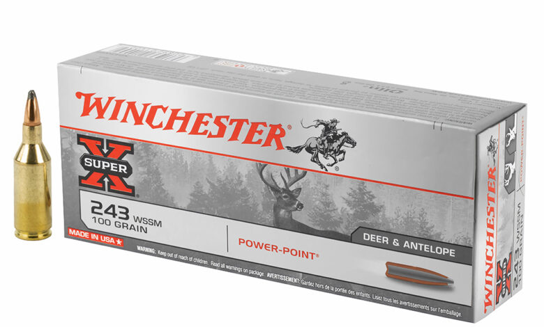 Ammo Brief: .243 WSSM – Gun Digest Ammo Brief: .243 WSSM – Gun Digest