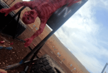 InRangeTV CQB Brutality-West 2025 | RECOIL