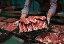 How To Check If Wild Animal Meat Is Good For Eating – Part I – Survivopedia